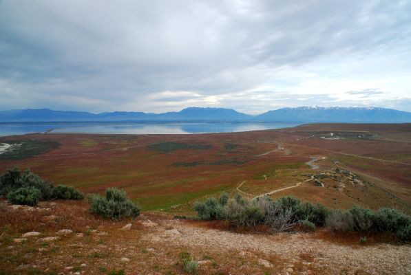 DSC_0958.JPG