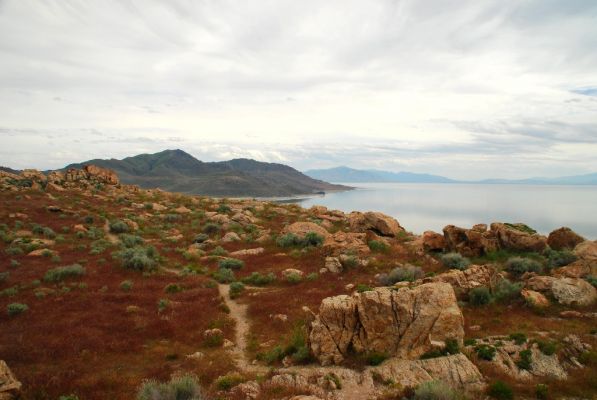 DSC_0966.JPG