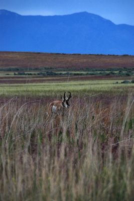 DSC_0972.JPG