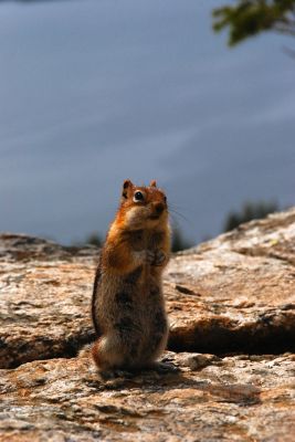 DSC_1110.JPG