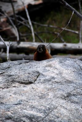 DSC_1118.JPG
