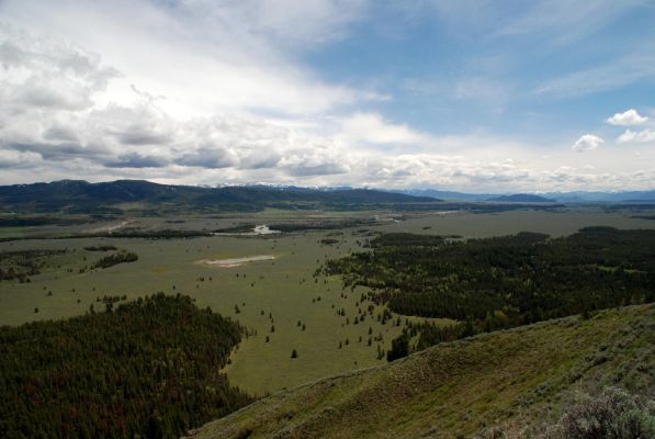 DSC_1138.JPG