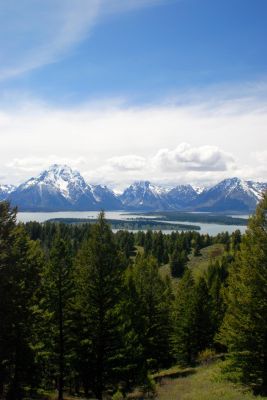 DSC_1147.JPG