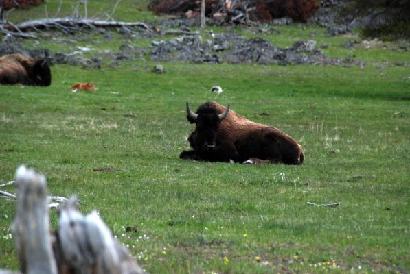 DSC_1269.JPG
