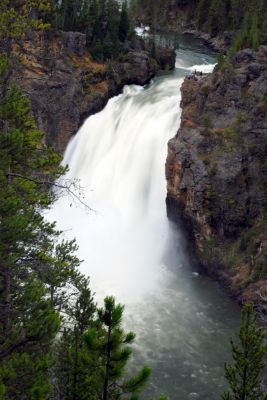 DSC_1338.JPG