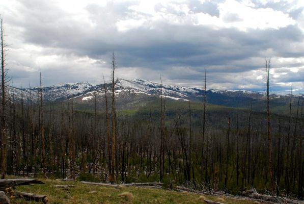DSC_1390.JPG