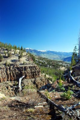 DSC_1404.JPG