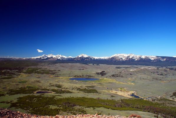 DSC_1410.JPG