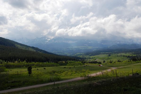 DSC_1491.JPG