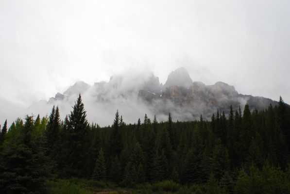 DSC_1543.JPG