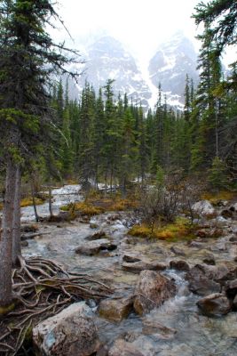 DSC_1567.JPG