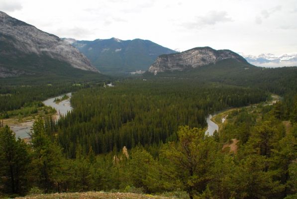 DSC_1613.JPG