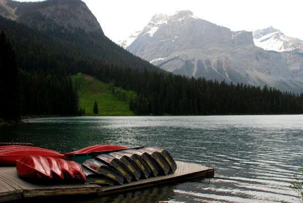 DSC_1654.JPG
