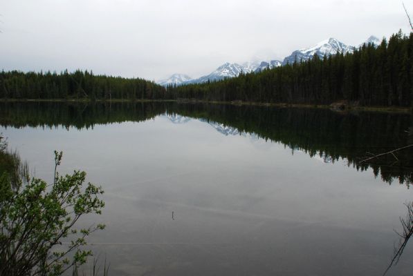 DSC_1688.JPG