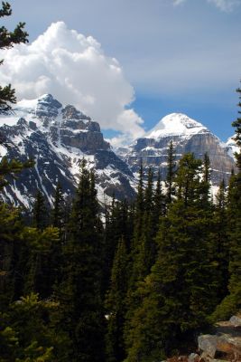DSC_1742.JPG