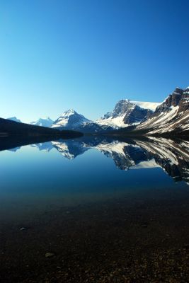DSC_1805.JPG