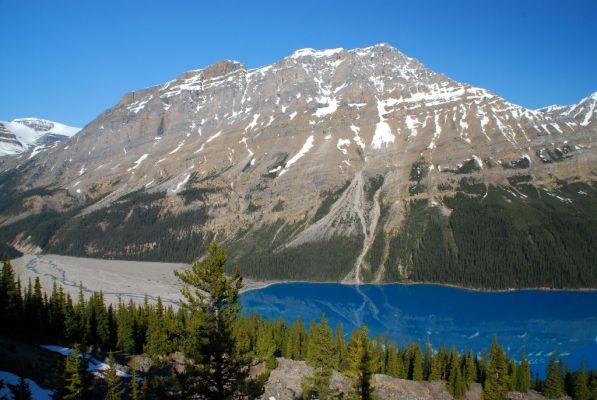 DSC_1820.JPG