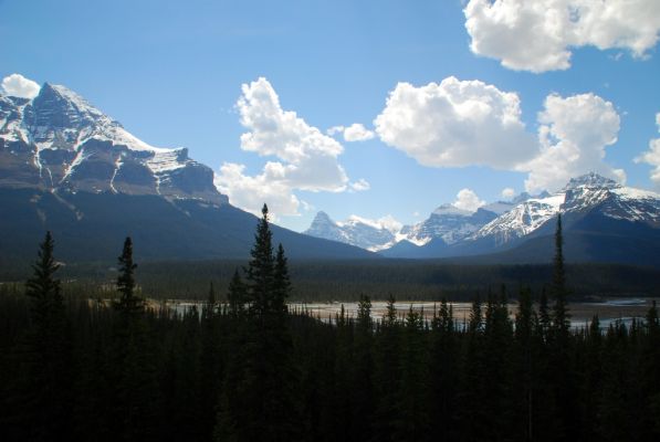 DSC_1837.JPG