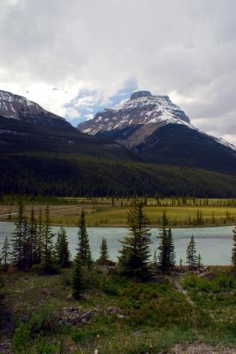 DSC_1847.JPG