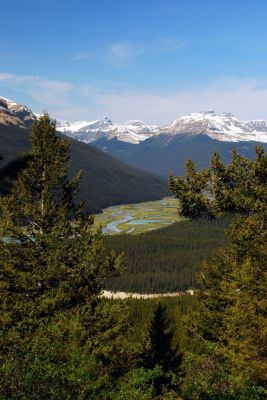 DSC_1906.JPG