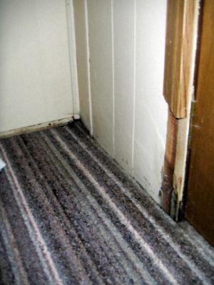 PICT0245.JPG