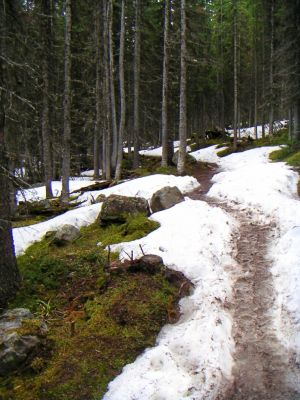 PICT0270.JPG