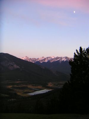 PICT0307.JPG