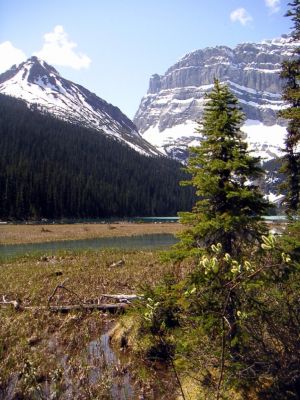 PICT0314.JPG