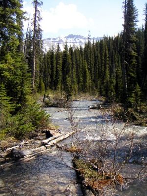 PICT0319.JPG