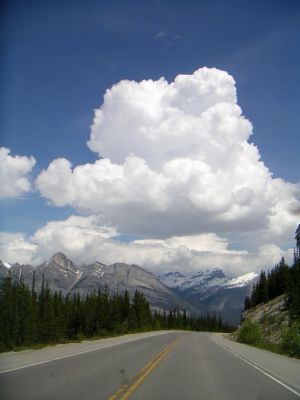 PICT0330.JPG