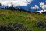 DSC_1451.JPG