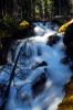DSC_1826.JPG