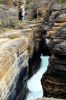 DSC_1876.JPG