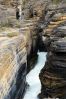 DSC_1877.JPG