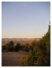PICT0688.JPG