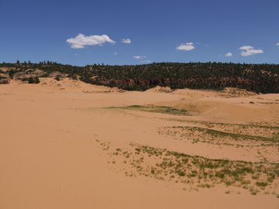 P1030931.JPG
