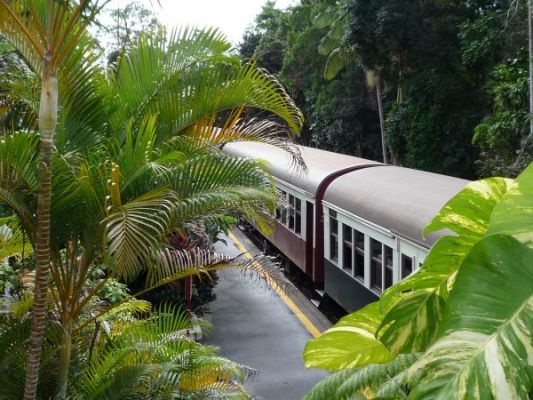 P1050057.JPG