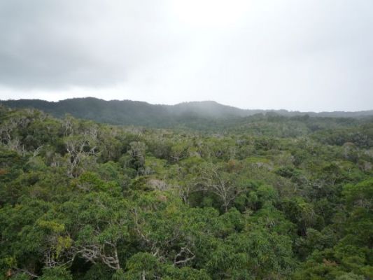 P1050063.JPG