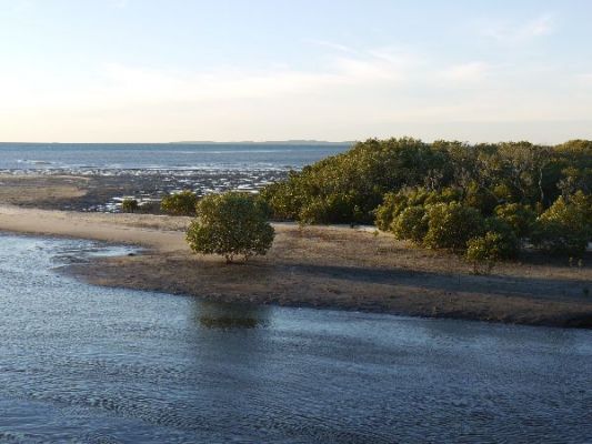 P1050205.JPG
