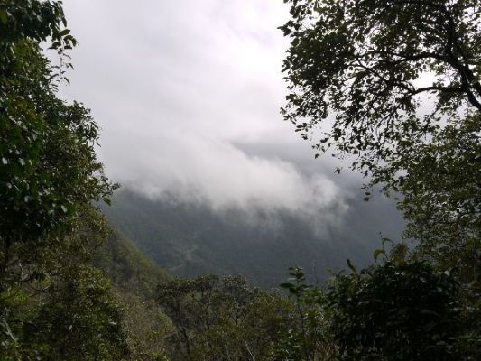 P1050222.JPG