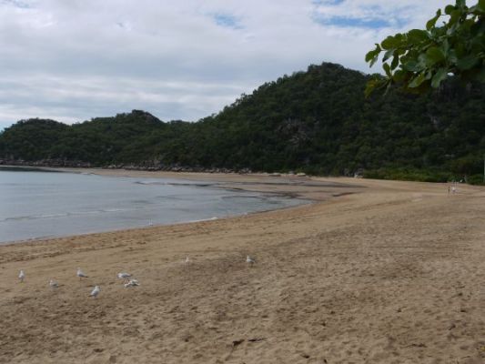 P1050461.JPG