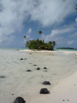 P1060242~0.JPG