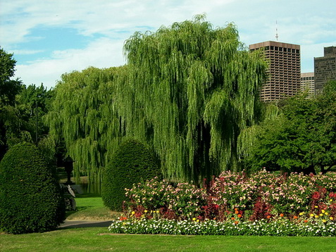 Boston_(9).jpg