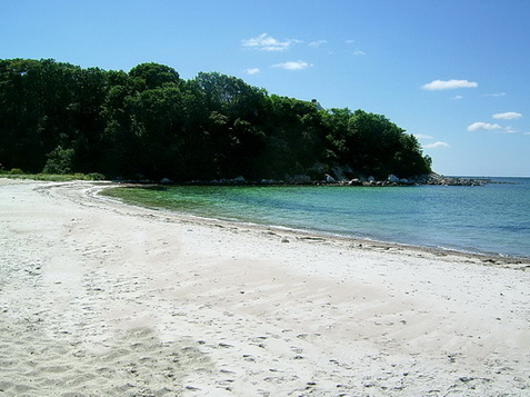aaa1_(19).jpg