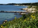 Cape_Cod_(10).jpg