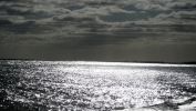 Cape_Cod_(12).jpg
