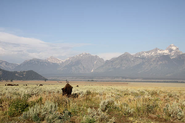IMG_3875.jpg