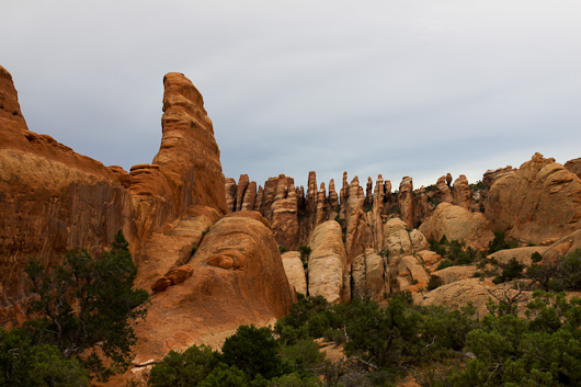 IMG_4125.jpg