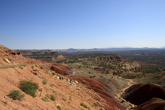 IMG_4514.jpg