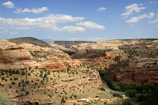 IMG_4569.jpg